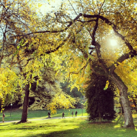 Sunny fall morning