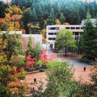 Haskel Plaza fall colors