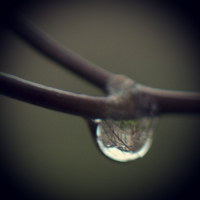 Old main reflected in rain drop