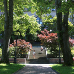 Japanese maples adorn steps to Old Main